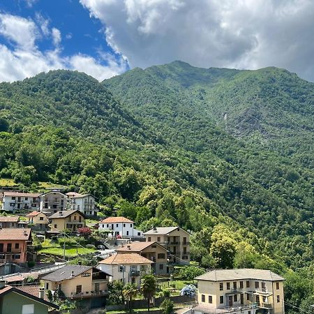 Casa Del Cios Calda E Intima Casetta Immersa Nel Verde Delle Montagne Alpe Basciumo Eksteriør bilde