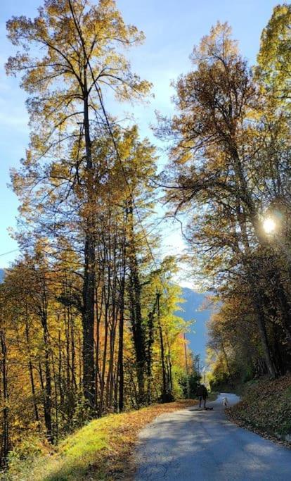 Casa Del Cios Calda E Intima Casetta Immersa Nel Verde Delle Montagne Alpe Basciumo Eksteriør bilde