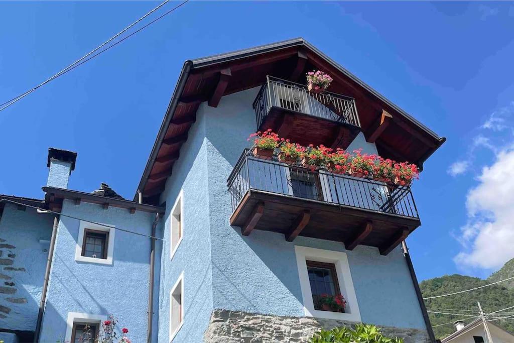 Casa Del Cios Calda E Intima Casetta Immersa Nel Verde Delle Montagne Alpe Basciumo Eksteriør bilde