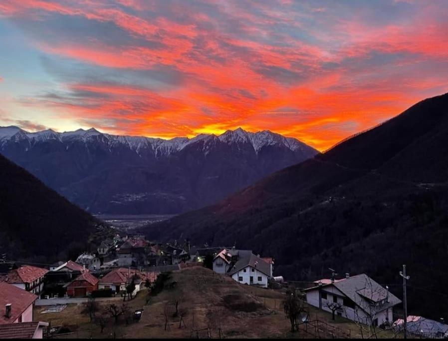Casa Del Cios Calda E Intima Casetta Immersa Nel Verde Delle Montagne Alpe Basciumo Eksteriør bilde