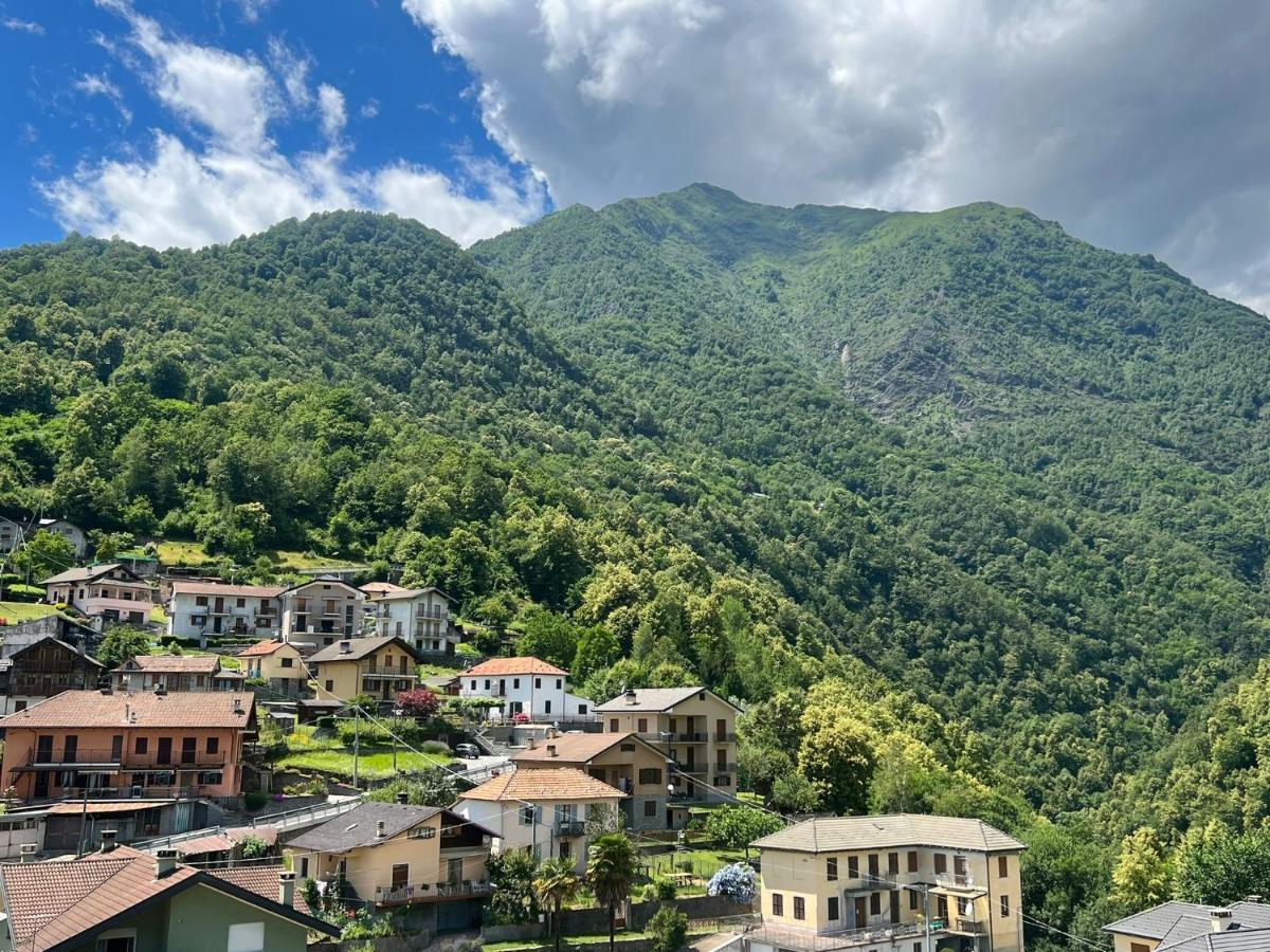 Casa Del Cios Calda E Intima Casetta Immersa Nel Verde Delle Montagne Alpe Basciumo Eksteriør bilde